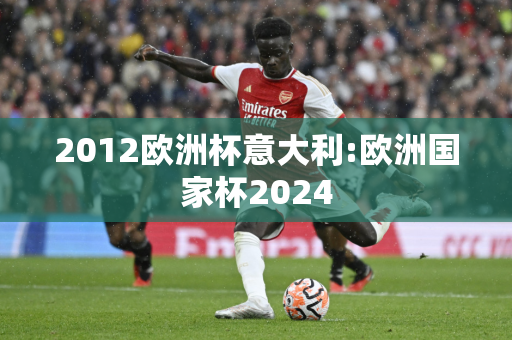 2012欧洲杯意大利:欧洲国家杯2024