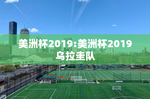 美洲杯2019:美洲杯2019乌拉圭队