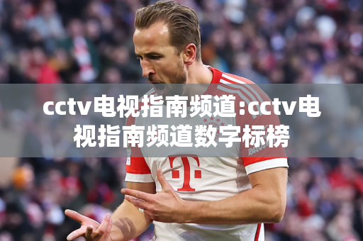 cctv电视指南频道:cctv电视指南频道数字标榜