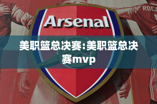 美职篮总决赛:美职篮总决赛mvp