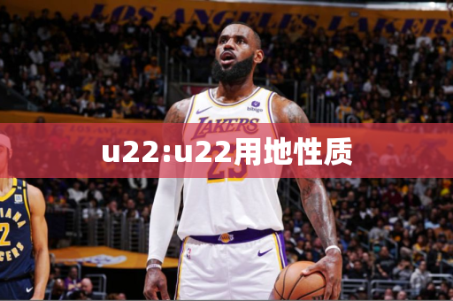 u22:u22用地性质