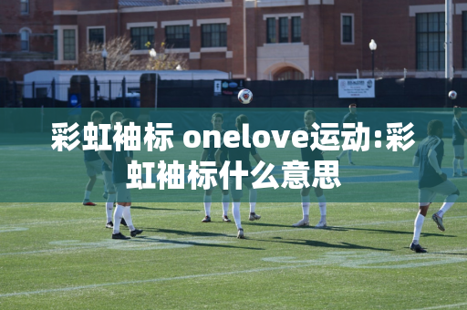 彩虹袖标 onelove运动:彩虹袖标什么意思