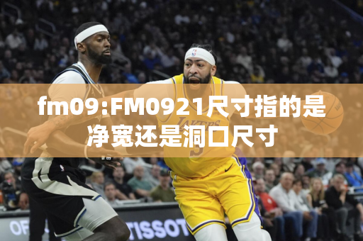 fm09:FM0921尺寸指的是净宽还是洞口尺寸