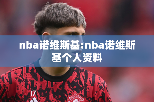 nba诺维斯基:nba诺维斯基个人资料