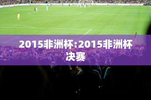 2015非洲杯:2015非洲杯决赛