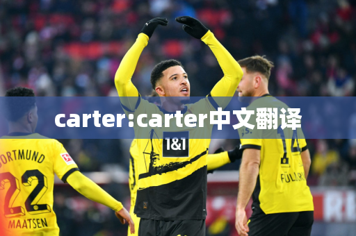 carter:carter中文翻译