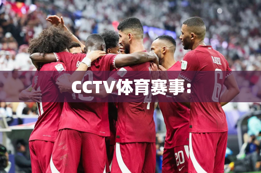 CCTV体育赛事: