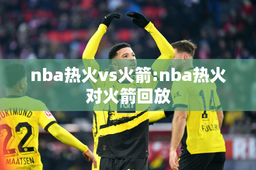 nba热火vs火箭:nba热火对火箭回放