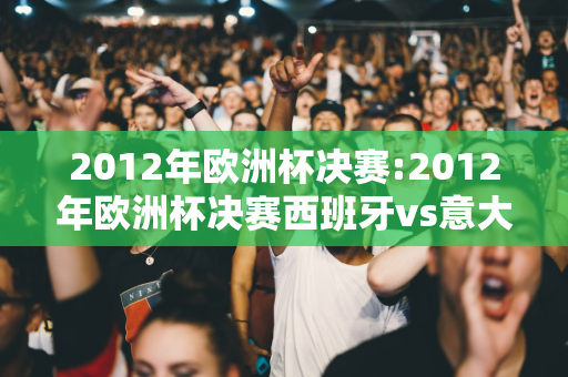 2012年欧洲杯决赛:2012年欧洲杯决赛西班牙vs意大利