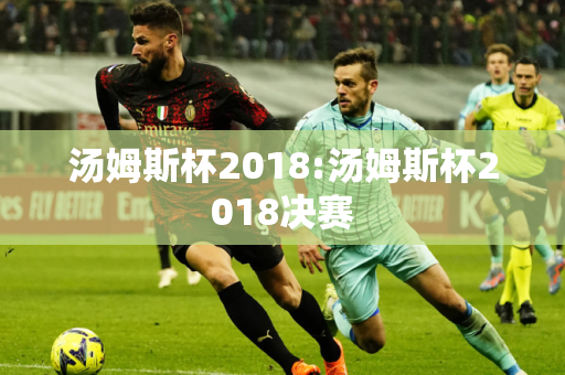 汤姆斯杯2018:汤姆斯杯2018决赛