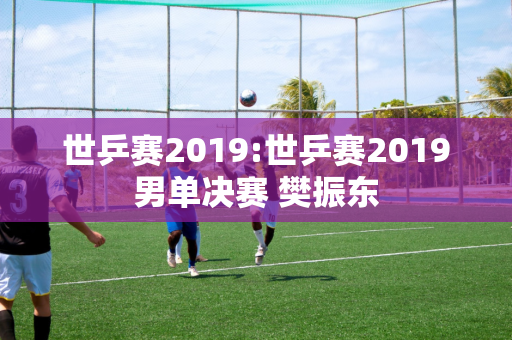 世乒赛2019:世乒赛2019男单决赛 樊振东