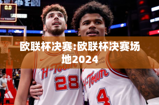 欧联杯决赛:欧联杯决赛场地2024