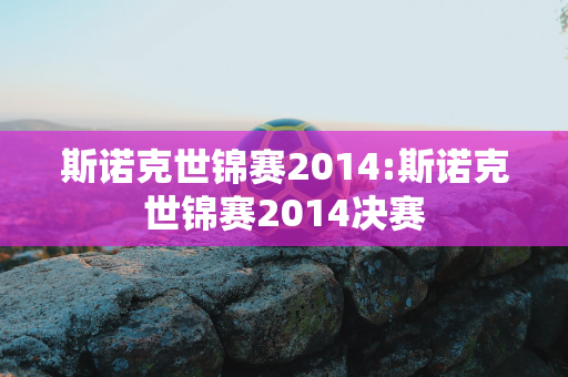 斯诺克世锦赛2014:斯诺克世锦赛2014决赛