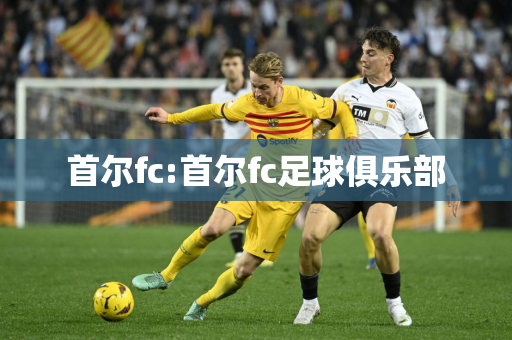 首尔fc:首尔fc足球俱乐部