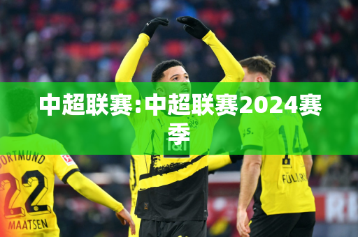 中超联赛:中超联赛2024赛季