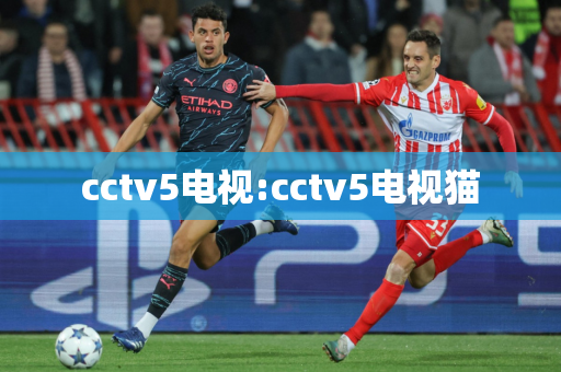 cctv5电视:cctv5电视猫