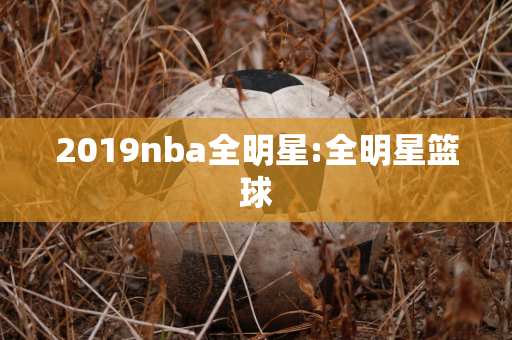 2019nba全明星:全明星篮球