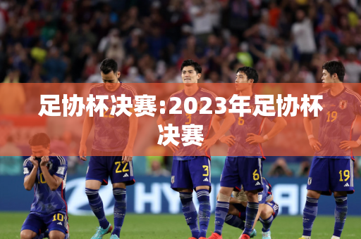 足协杯决赛:2023年足协杯决赛