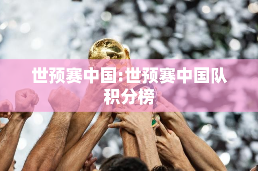 世预赛中国:世预赛中国队积分榜