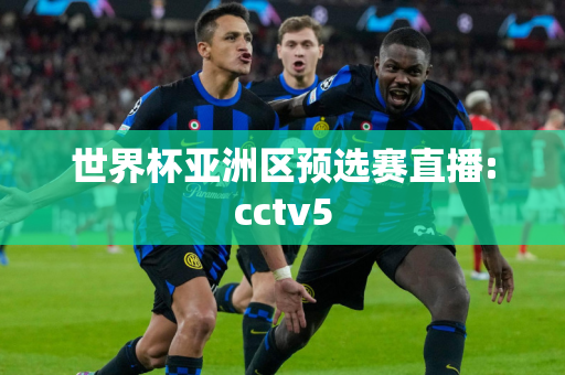 世界杯亚洲区预选赛直播:cctv5