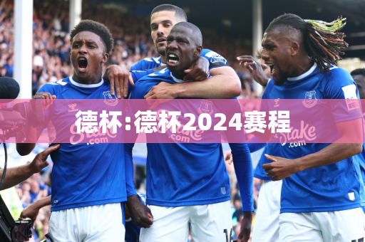 德杯:德杯2024赛程