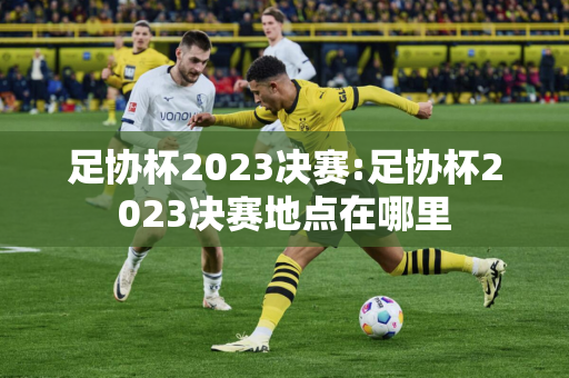 足协杯2023决赛:足协杯2023决赛地点在哪里