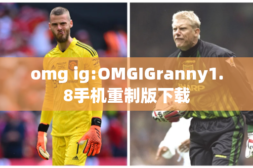 omg ig:OMGIGranny1.8手机重制版下载