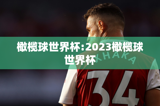 橄榄球世界杯:2023橄榄球世界杯