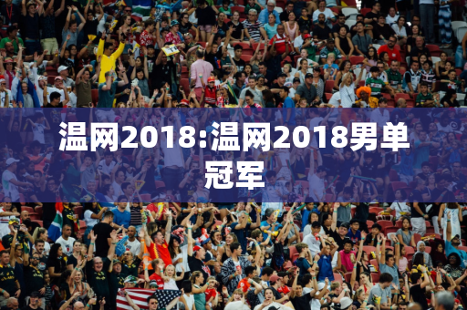 温网2018:温网2018男单冠军