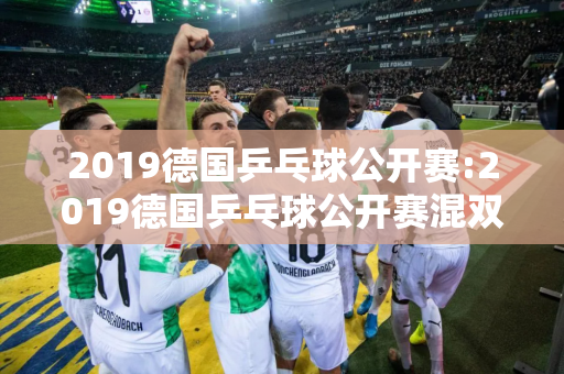 2019德国乒乓球公开赛:2019德国乒乓球公开赛混双决赛