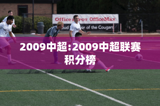 2009中超:2009中超联赛积分榜