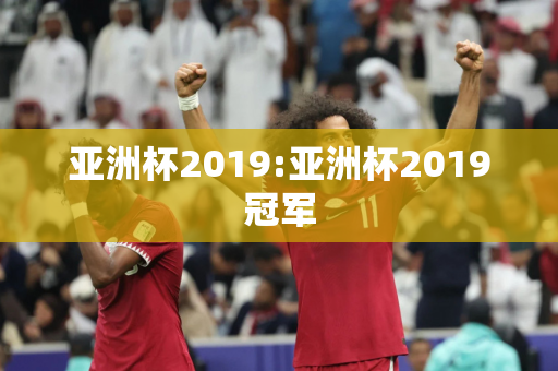 亚洲杯2019:亚洲杯2019冠军