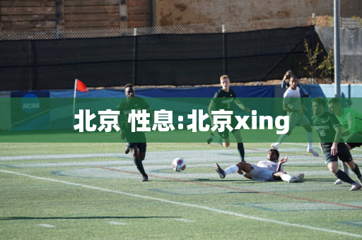 北京 性息:北京xing